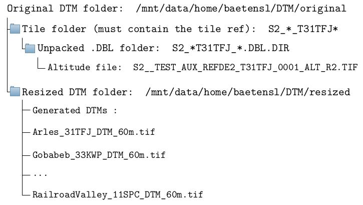 tree dtm